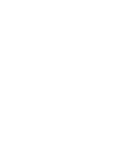 Corner Bottom Left Line