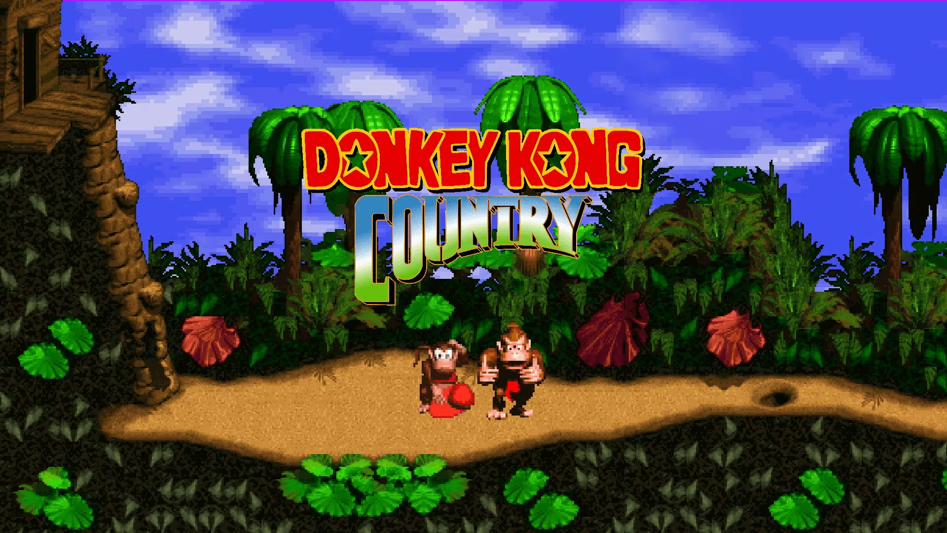 Donkey Kong Country