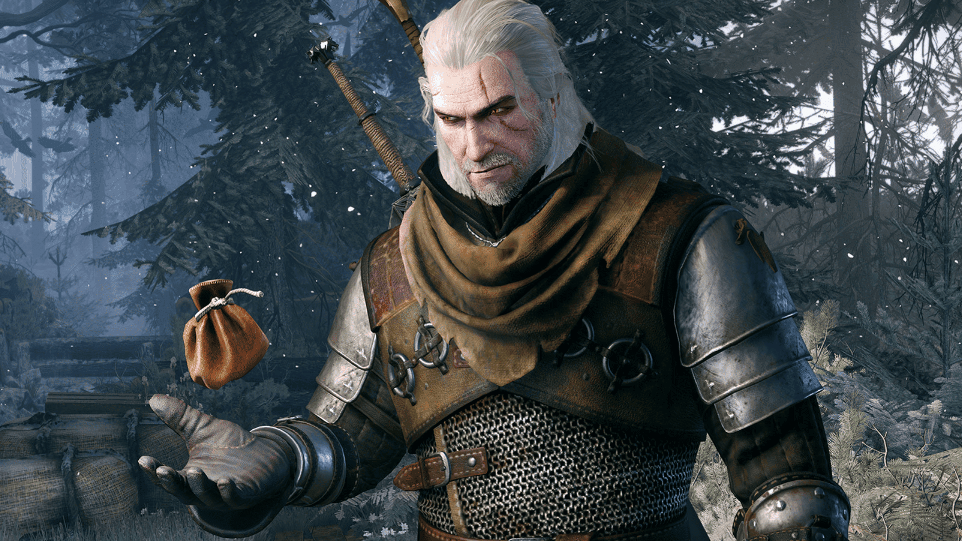 Next Gen Performance in Witcher 3