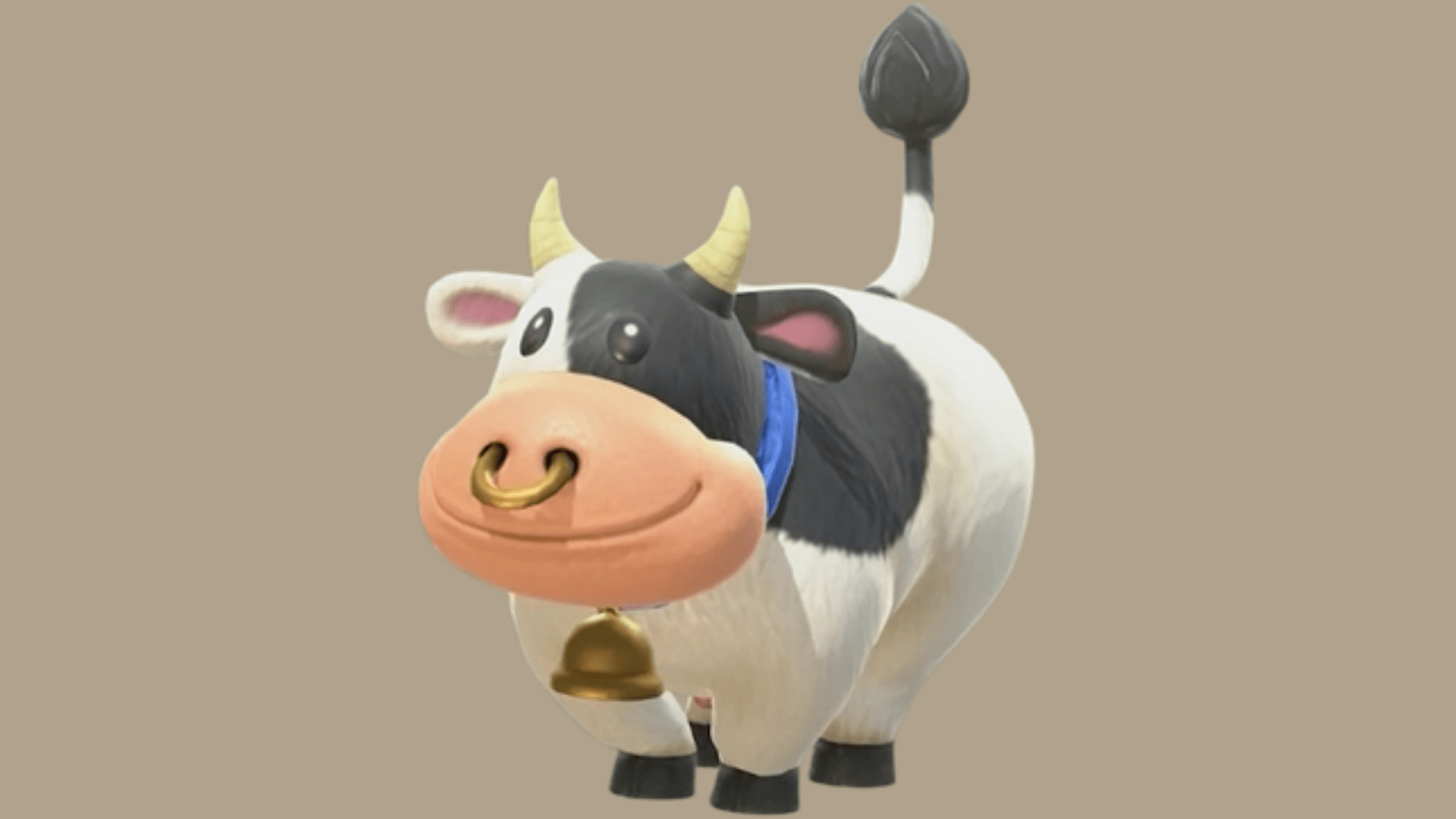 moo moo