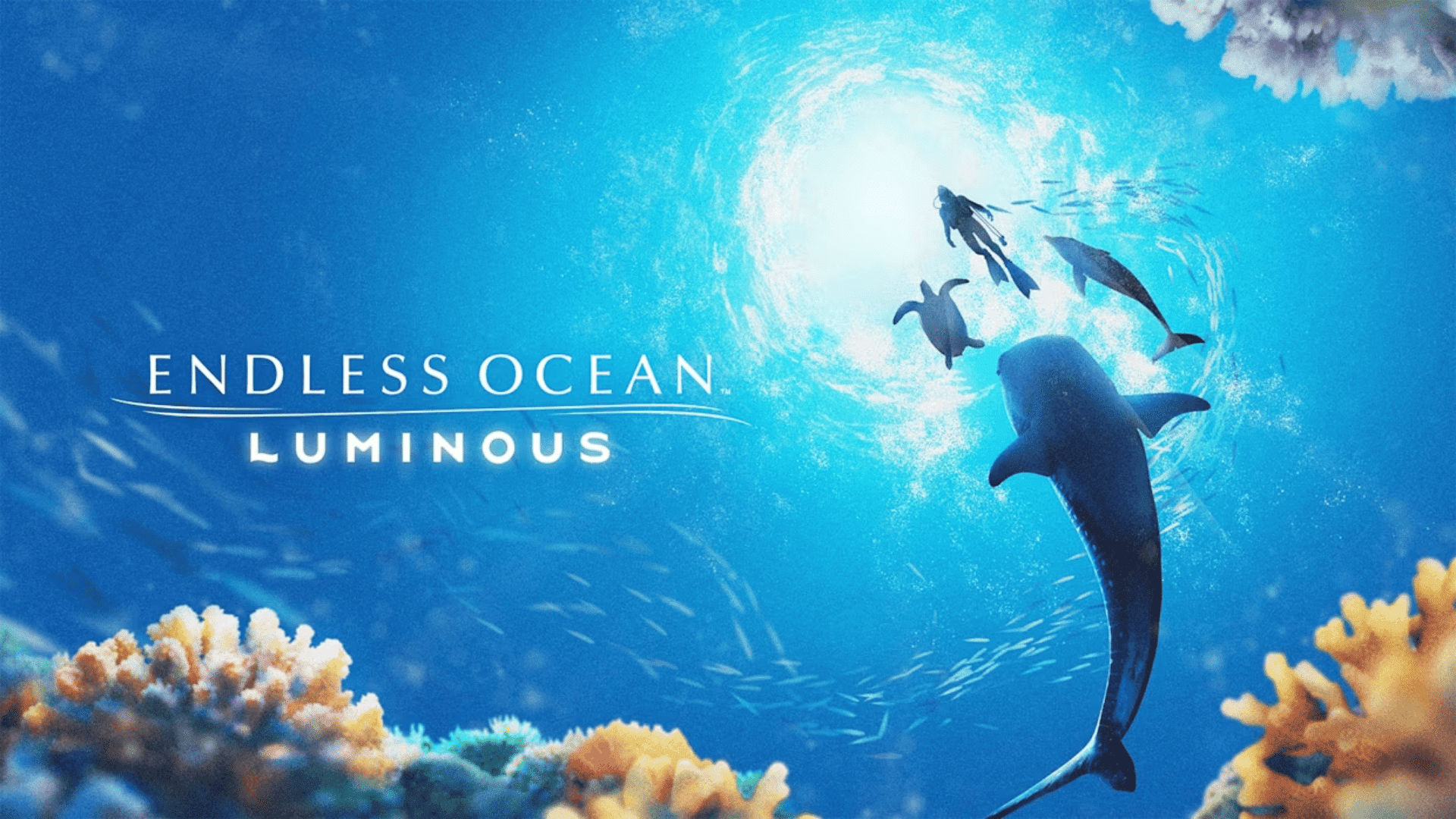 endless ocean luminous