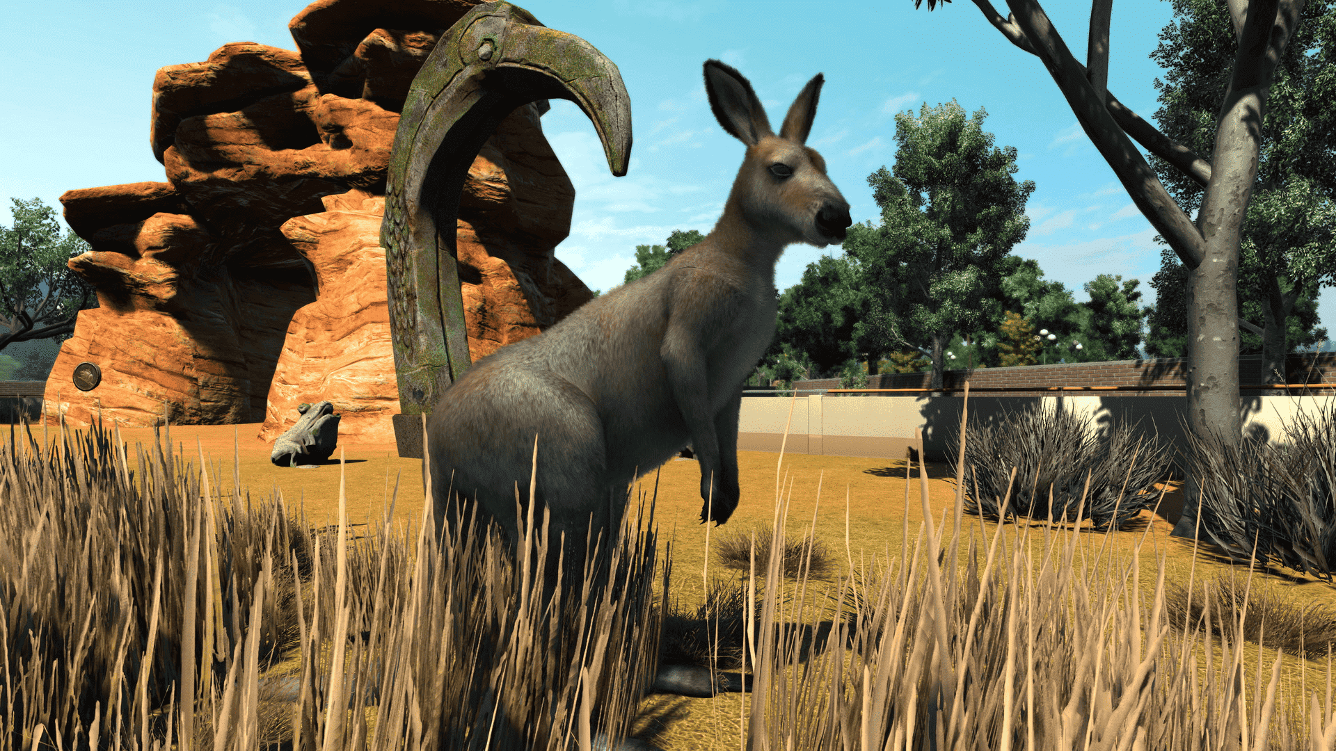 Kangaroo standing in a natural zoo habitat in Planet Zoo, a relaxing animal management simulation available on Xbox